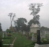 Загальний вигляд цвинтаря з церквою