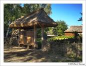 2008 р. Ворота