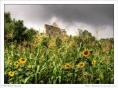 2008 р. Вигляд зі сходу