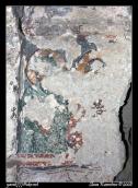 Фрагменты фресок