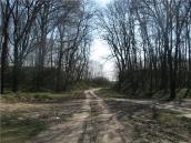 2009 р. Дорога через вали городища