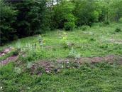 2009 р. Фундамент