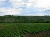 2009 р. Василівська стінка – проти…