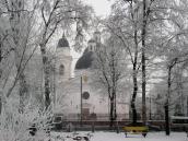 2009 р. Загальний вигляд