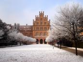 2009 р. Центральна частина головного…