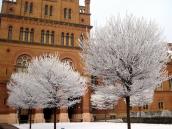 Фрагмент фасаду