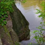 2010 р. “Профіль Потоцького”