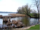 2009 р. Вид річки Роставиця