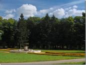 2009 р. Клумба