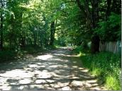 Дорога в парку (?)