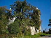 2010 р. Загальний вигляд з півдня