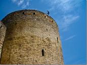 2010 р. Верхня частина башти. Вигляд з…