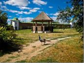 2010 р. Фрагмент з башточками