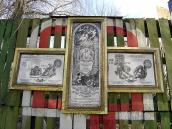 Пам’ятний стед єзуїтів