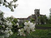 Яблуневий квіт на тлі палацу