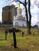 Калиновий гай з видом на новий будинок…