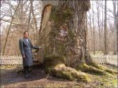 Валентина Рудниченко біля дуба