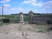 На старовинній площі Форум гуляють свині