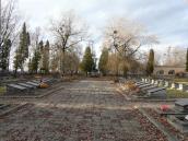 Головна алея