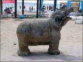 Загальний вигляд у профіль