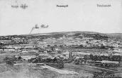 [1910-і рр.] Вид Перемишля з Винної гори