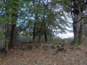 [2003..2006 р.] Загальний вигляд…