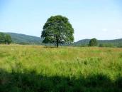 [2003..2006 р.] Краєвид