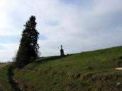 [2003..2006 р.] Дорога до Кривої