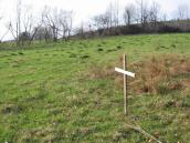 Братська могила 2-ї світової війни