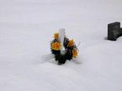 [2003..2006 р.] Могили