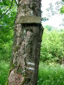 [2003..2006 р.] Таблиця запевняє, що…