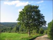 [2003..2006 р.] Дорога з Липовця до…