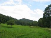 [2003..2006 р.] Краєвид