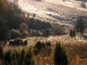 [2003..2006 р.] Краєвид