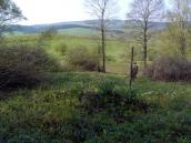 [2003..2006 р.] Загальний вигляд