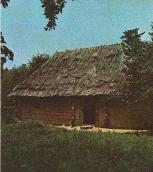 1986 р. Загальний вигляд