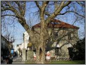 [2005 р.] Вул.Замкова