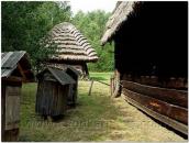 Фрагмент обійстя з пасікою