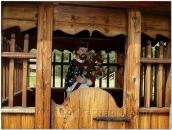 Каплиця з фігурою Христа