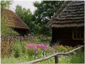 Фрагмент обійстя