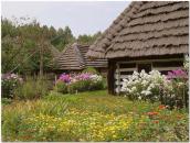 Фрагмент обійстя