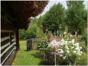 Фрагмент обійстя