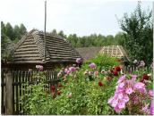 Фрагмент обійстя