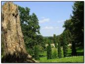 Фрагмент парку з видом на міст