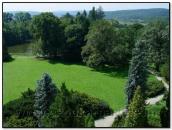 Вид з башти