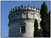 Верхні яруси