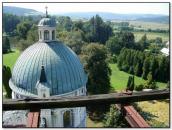 Верхні яруси