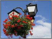 [2005 р.] Ліхтар