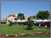 [2005 р.] Клумба