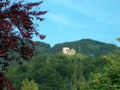 [2006 р.] Загальний вигляд замку